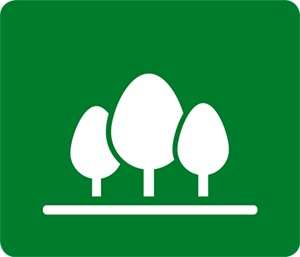 Digitale Themenreihe Grünflächenmanagement